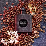 Perfume Black Opium