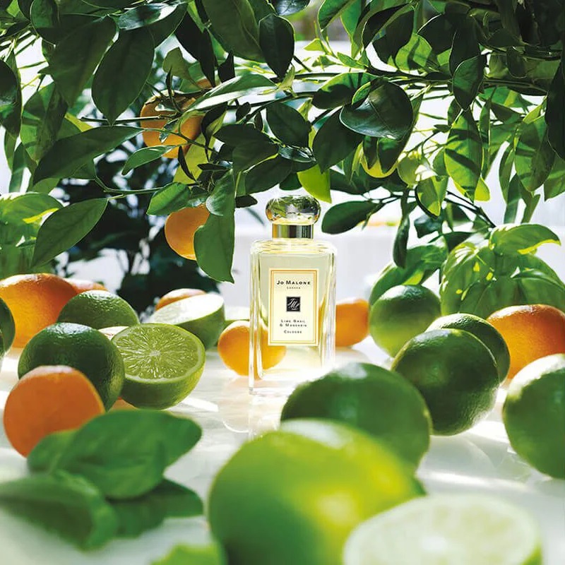 Perfumes de Nicho para Cada Estação Jo Malone London Lime Basil & Mandarin