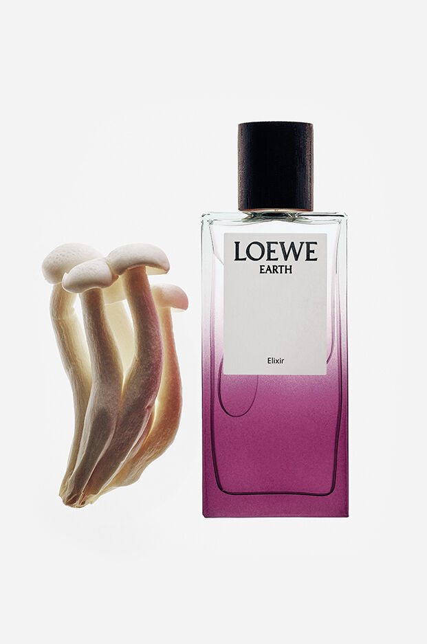 LOEWE Elixires Terra