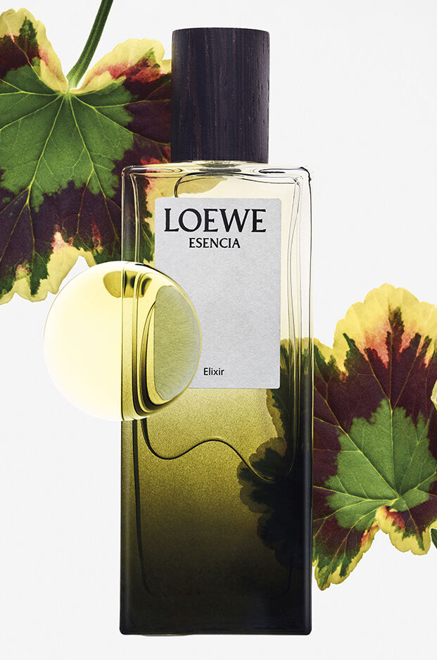 LOEWE Elixires Esencia