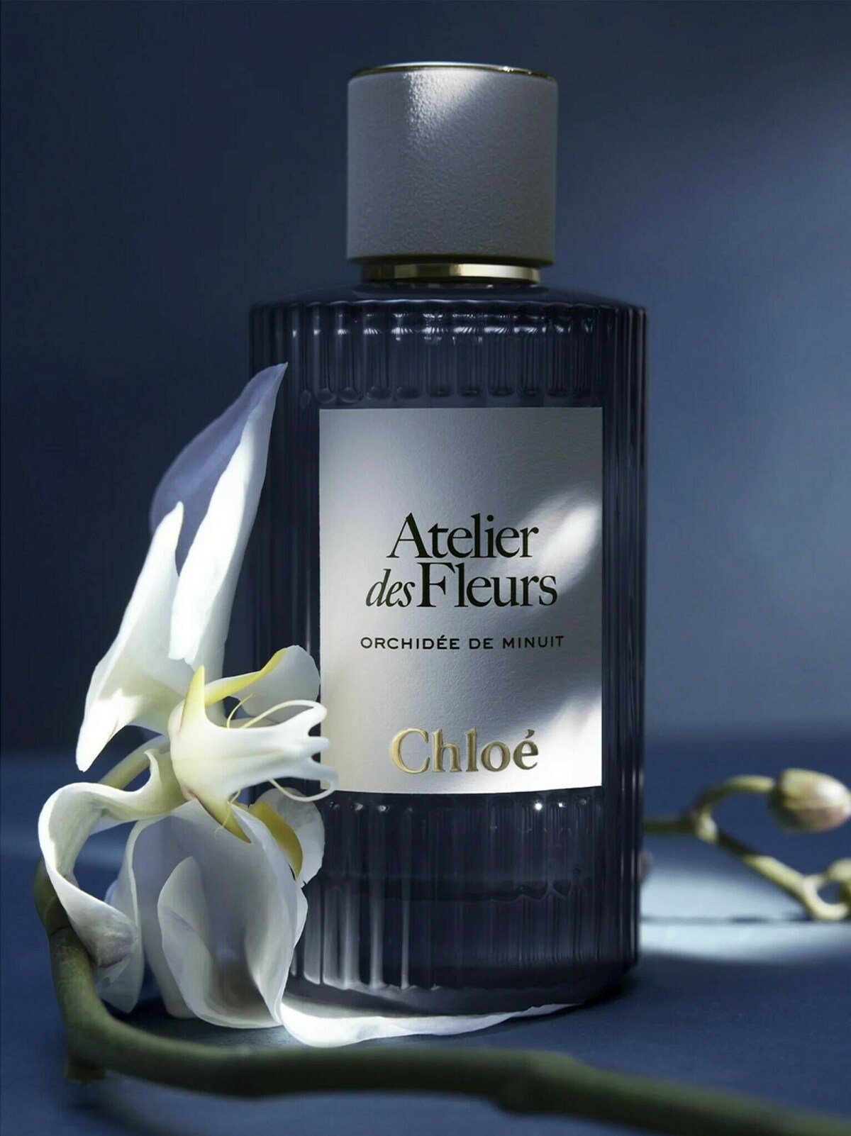 Perfume Orchidée de Minuit de Chloé