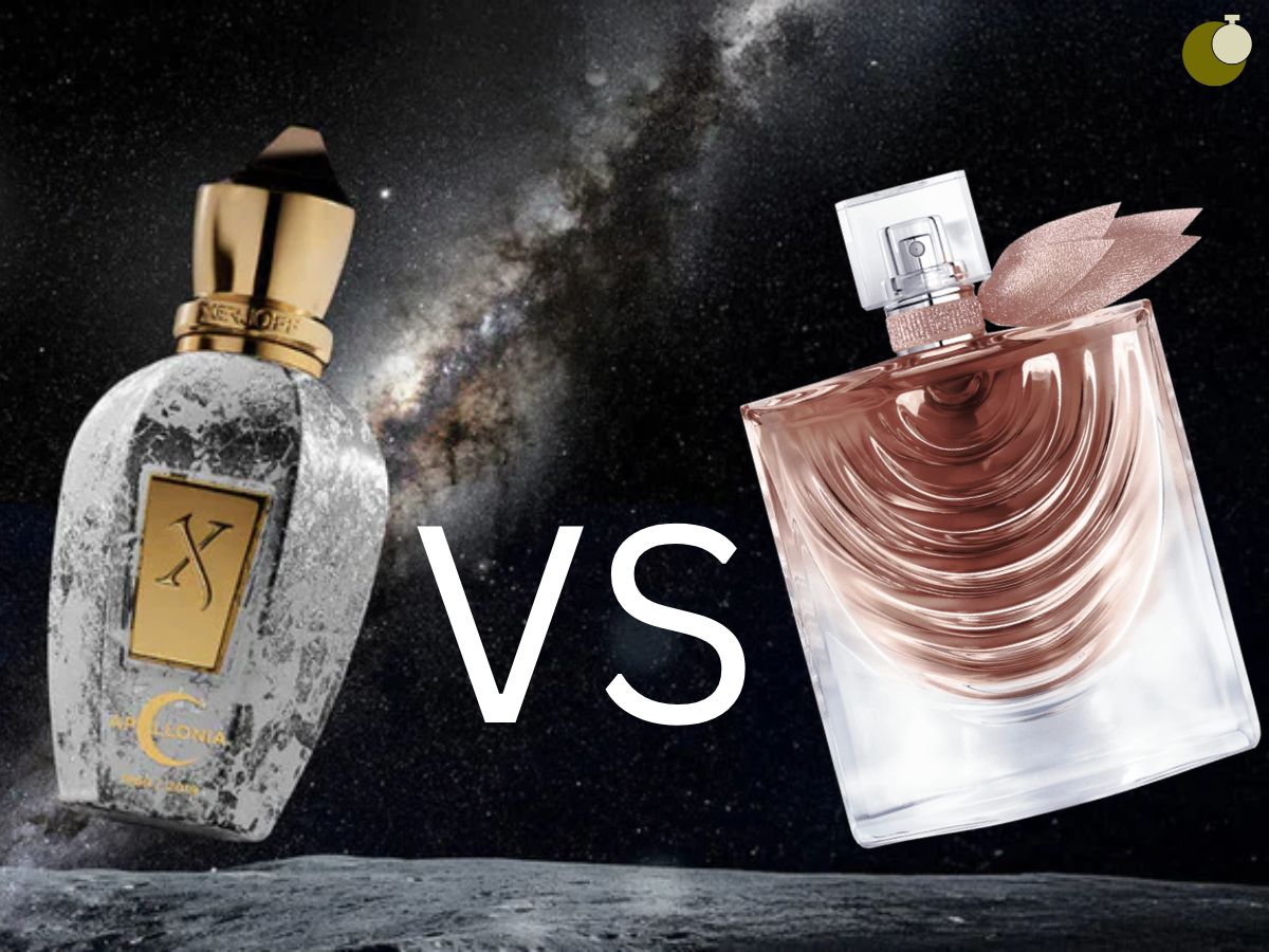 Perfume de Nicho Vs Perfume Designer Parteom Perfumes