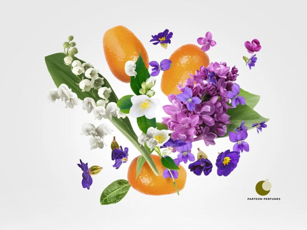 xerjoff Dama Bianca Composicao